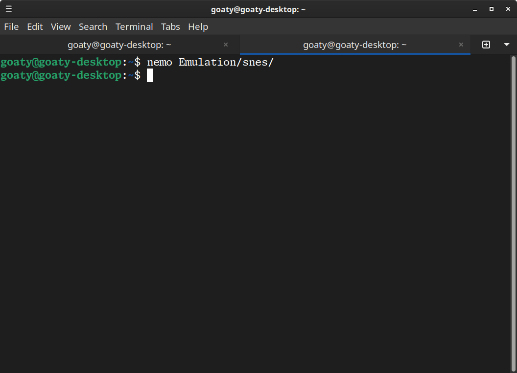 Terminal showing 'nemo Emulation/snes